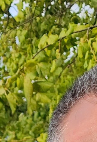 « La montre n’a pas dit son dernier mot », c'est le titre du livre écrit par Laurent Sage